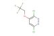 3,6-dichloro-4-(2,2,2-trifluoroethoxy)pyridazine