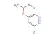 3,6-dichloro-4-isopropoxypyridazine