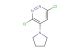 3,6-dichloro-4-(pyrrolidin-1-yl)pyridazine