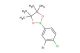 2-(3-bromo-4-chlorophenyl)-4,4,5,5-tetramethyl-1,3,2-dioxaborolane