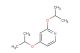 2,4-diisopropoxypyridine