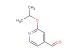 2-isopropoxyisonicotinaldehyde