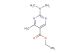 ethyl 2-(dimethylamino)-4-methylpyrimidine-5-carboxylate