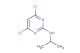 4,6-dichloro-N-isopropylpyrimidin-2-amine