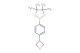 4,4,5,5-tetramethyl-2-(4-(oxetan-3-yl)phenyl)-1,3,2-dioxaborolane