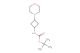 tert-butyl 3-morpholinocyclobutylcarbamate