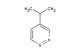 4-isopropylpyridazine
