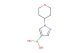 1-(tetrahydro-2H-pyran-4-yl)-1H-pyrazol-4-ylboronic acid