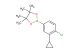 2-(4-chloro-3-cyclopropylphenyl)-4,4,5,5-tetramethyl-1,3,2-dioxaborolane