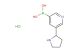 5-(pyrrolidin-2-yl)pyridin-3-ylboronic acid hydrochloride