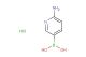 6-aminopyridin-3-ylboronic acid hydrochloride