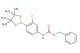 benzyl 3-fluoro-4-(4,4,5,5-tetramethyl-1,3,2-dioxaborolan-2-yl)phenylcarbamate