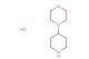 4-(piperidin-4-yl)morpholine hydrochloride