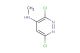 3,6-dichloro-N-methylpyridazin-4-amine