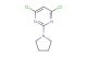 4,6-dichloro-2-(pyrrolidin-1-yl)pyrimidine