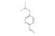 5-(difluoromethoxy)picolinaldehyde