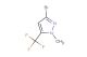 3-bromo-1-methyl-5-(trifluoromethyl)-1H-pyrazole
