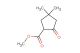 methyl 4,4-dimethyl-2-oxocyclopentane-1-carboxylate