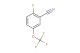 2-fluoro-5-(trifluoromethoxy)benzonitrile