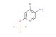 2-bromo-4-(trifluoromethoxy)aniline