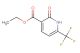 ethyl 2-oxo-6-(trifluoromethyl)-1,2-dihydropyridine-3-carboxylate