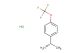 (S)-1-(4-(trifluoromethoxy)phenyl)ethanamine hydrochloride