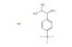 (1S)-2-methyl-1-[4-(trifluoromethyl)phenyl]propylamine hydrochloride
