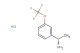 (1S)-1-[3-(trifluoromethoxy)phenyl]ethylamine hydrochloride