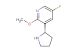 3-((2S)pyrrolidin-2-yl)-5-fluoro-2-methoxypyridine
