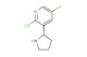 3-((2S)pyrrolidin-2-yl)-2-chloro-5-fluoropyridine