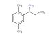 (R)-1-(2,5-dimethylphenyl)propan-1-amine