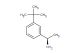 (1R)-1-[3-(tert-butyl)phenyl]ethylamine