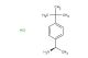 (R)-1-(4-(tert-butyl)phenyl)ethanamine hydrochloride