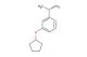 (1S)-1-(3-cyclopentyloxyphenyl)ethylamine