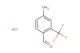 4-amino-2-(trifluoromethyl)benzaldehyde hydrochloride