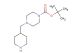 tert-butyl 4-(piperidin-4-ylmethyl)piperazine-1-carboxylate