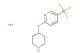 2-(piperidin-4-yloxy)-5-(trifluoromethyl)pyridine hydrochloride