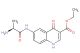 ethyl (S)-6-(2-aminopropanamido)-4-oxo-1,4-dihydroquinoline-3-carboxylate