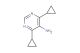4,6-dicyclopropylpyrimidin-5-amine