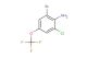2-bromo-6-chloro-4-(trifluoromethoxy)aniline