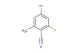 4-bromo-2-fluoro-6-methylbenzonitrile
