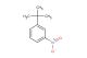 1-(tert-butyl)-3-nitrobenzene