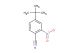 4-tert-butyl-2-nitrobenzonitrile