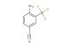 2-amino-5-cyanobenzotrifluoride