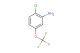 2-chloro-5-(trifluoromethoxy)aniline