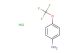 4-(trifluoromethoxy)aniline hydrochloride
