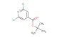 tert-butyl 2,6-dichloroisonicotinate