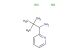 2,2-dimethyl-1-(pyridin-2-yl)propan-1-amine dihydrochloride