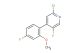 2-chloro-5-fluoro-4-(4-fluoro-2-methoxyphenyl)pyridine