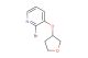 2-bromo-3-((tetrahydrofuran-3-yl)oxy)pyridine